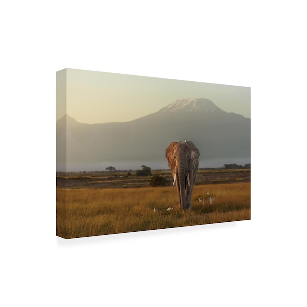 Massimo Mei 'Under The Roof Of Africa' Canvas Art,22x32